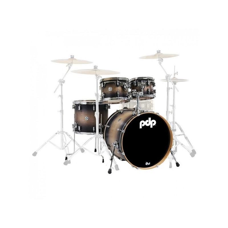 Concept Maple Satin Charcoal Burst | Disalvatoremusicstore.it