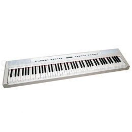 ECHORD SP10 WH | Disalvatoremusicstore.it