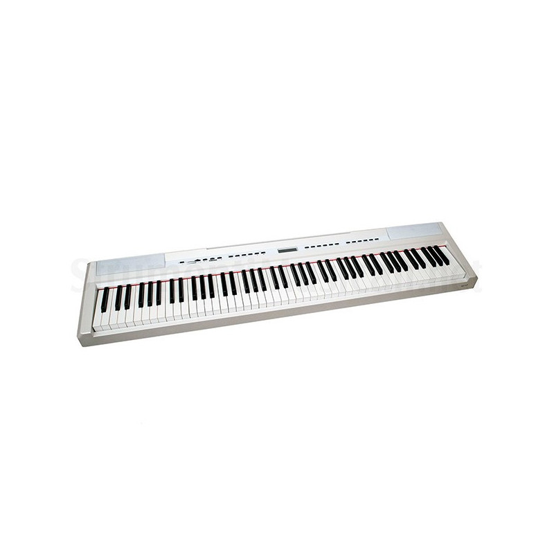 ECHORD SP10 WH | Disalvatoremusicstore.it