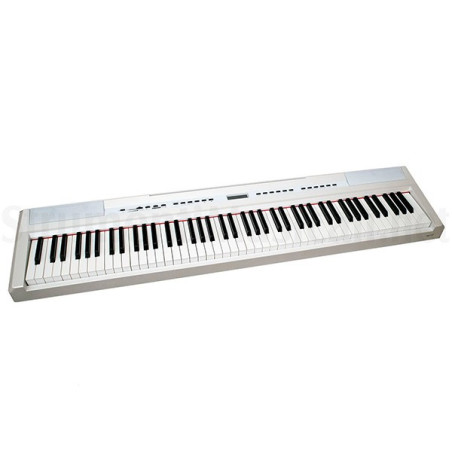 ECHORD SP10 WH | Disalvatoremusicstore.it