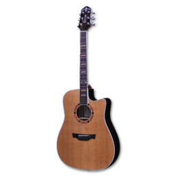 STG D-18CE PRO | Disalvatoremusicstore.it