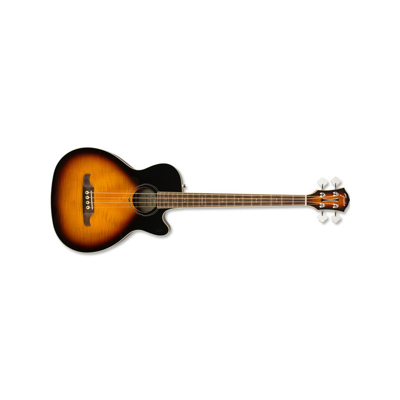 FA-450CE BASS | Disalvatoremusicstore.it