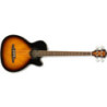 FA-450CE BASS