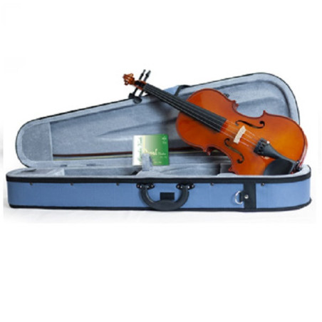 VL1020 Violino 1/2 con custodia ed arco | Disalvatoremusicstore.it