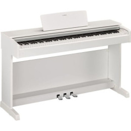 ARYUS YDP143W WHITE DIGITAL PIANO ROSEWOOD | Disalvatoremusicstore.it