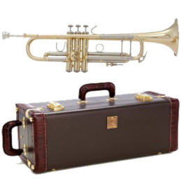 180-37 ML LACCATA SIB STRADIVARI BACH con astuccio rigido | Disalva...