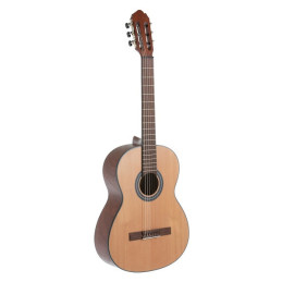 PROEL DST110BK | Disalvatoremusicstore.it