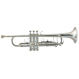 BACH TROMBA IN SIB STUDENT SERIE TR305S | Disalvatoremusicstore.it