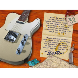 BOSTON Astuccio per basso elettrico | Disalvatoremusicstore.it