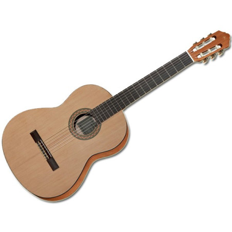 C40M II SATINATA | Disalvatoremusicstore.it