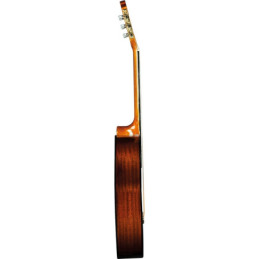 CD-60 DREAD V3 DS | Disalvatoremusicstore.it