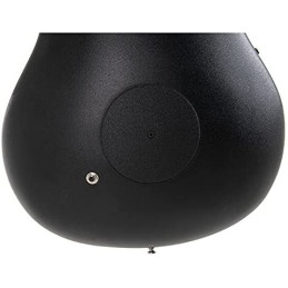 CE44X-9B-G | Disalvatoremusicstore.it