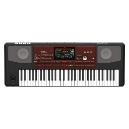 KORG Pa700 | Disalvatoremusicstore.it