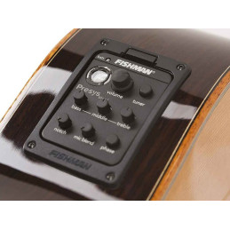 VNP-CUSTOM | Disalvatoremusicstore.it