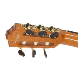 VNP-CUSTOM | Disalvatoremusicstore.it