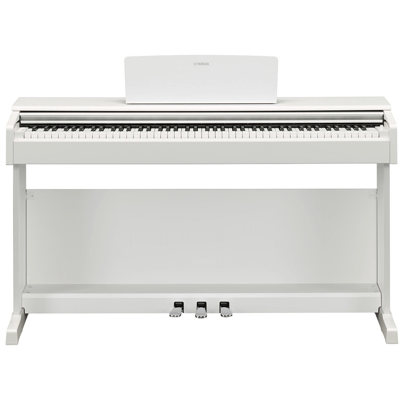 YDP145 BIANCO | Disalvatoremusicstore.it
