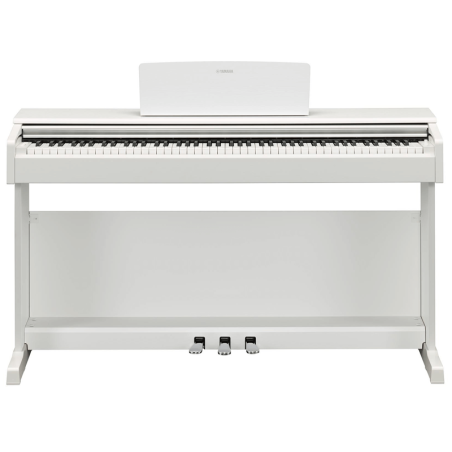 YDP145 BIANCO | Disalvatoremusicstore.it