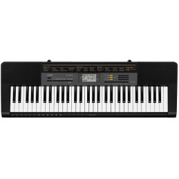 CASIO CTK-2500 | Disalvatoremusicstore.it
