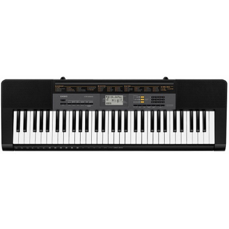CASIO CTK-2500 | Disalvatoremusicstore.it