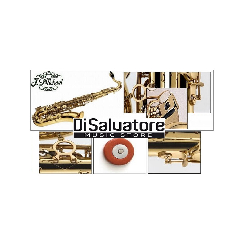 AL-500N SAX CONTRALTO Mib LACCATO - CON CHIAVE FA diesis | Disalvat...