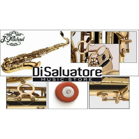 AL-500N SAX CONTRALTO Mib LACCATO - CON CHIAVE FA diesis | Disalvat...