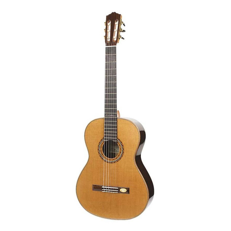VNP-CUSTOM | Disalvatoremusicstore.it