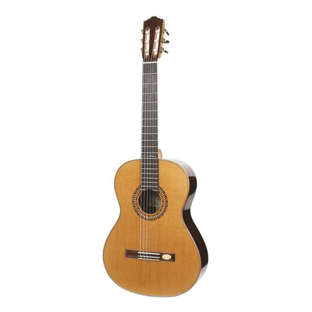 VNP-CUSTOM | Disalvatoremusicstore.it