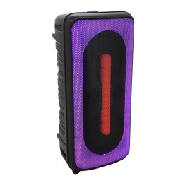 PANTHER P300Diffusore ricaricabile | Disalvatoremusicstore.it