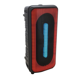 PANTHER P300Diffusore ricaricabile | Disalvatoremusicstore.it
