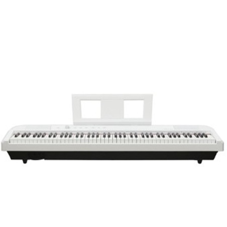 ECHORD DP1/W BIANCO