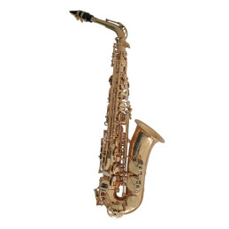 CONN SASSOFONO ALTO IN MIB AS501 | Disalvatoremusicstore.it