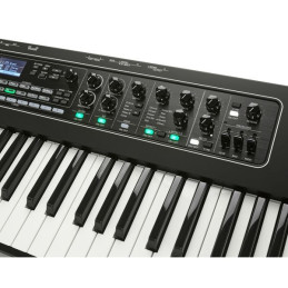 Yamaha CK61 | Disalvatoremusicstore.it