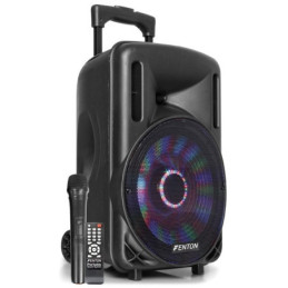 EGO-AG0091 FT10 LED Portable System 10 | Disalvatoremusicstore.it