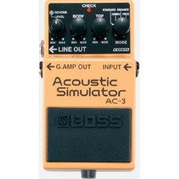 AC-3 ACOUSTIC SIMULATOR
