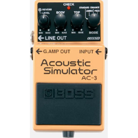 AC-3 ACOUSTIC SIMULATOR