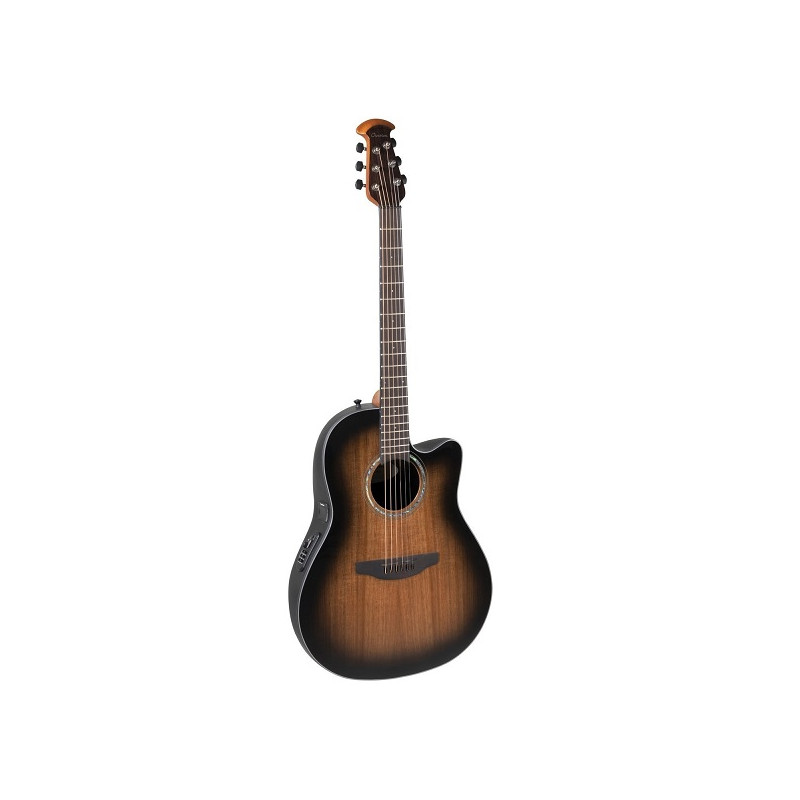 Blackwood Burst CS24P-ABLK-G