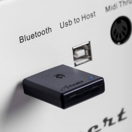 BT1 Bluetooth Receiver per orla