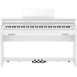 CASIO AP-S450WE