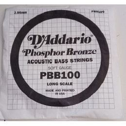 D'Addario PBB100 singola pe basso acustico