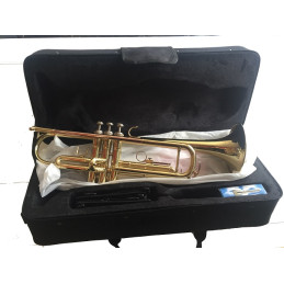 DESIR TROMBA SIB CON ASTUCCIO