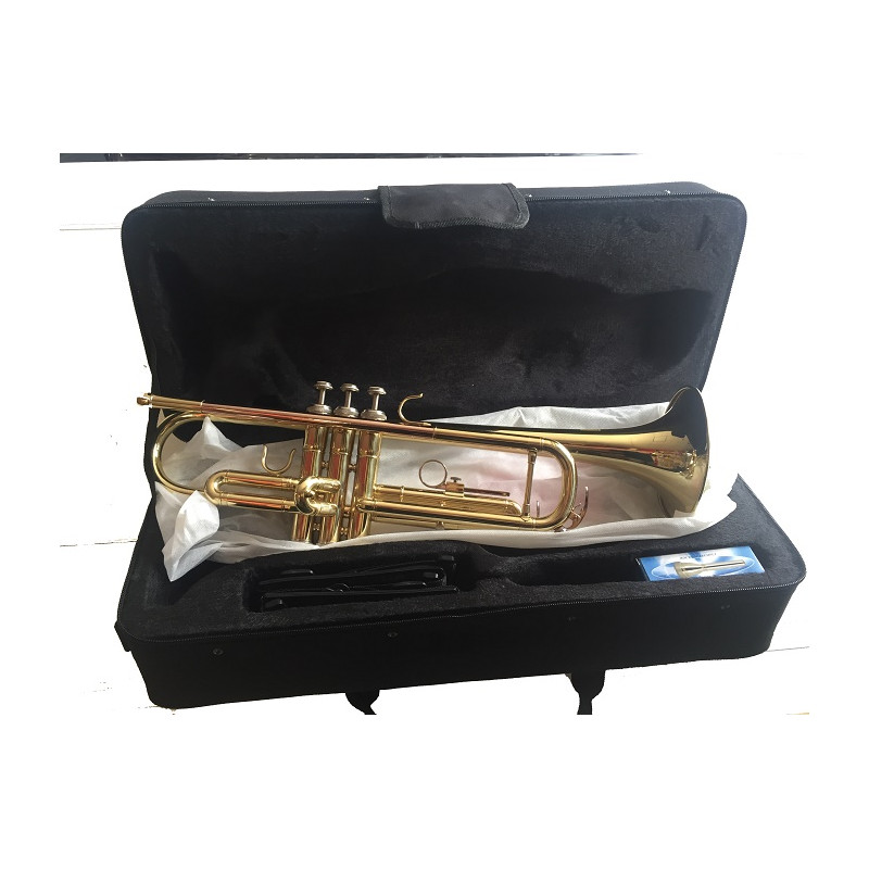 DESIR TROMBA SIB CON ASTUCCIO