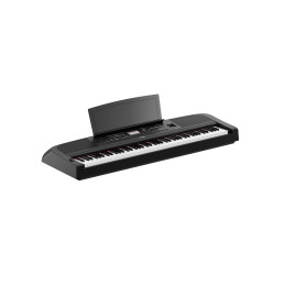 DGX-670 BLACK