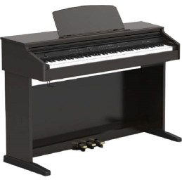 Digital Piano Rosewood CDP 101 con Bluetooth
