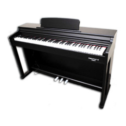 DPX100Nero Laccato Lucido