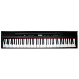 ECHORD SP10 BK