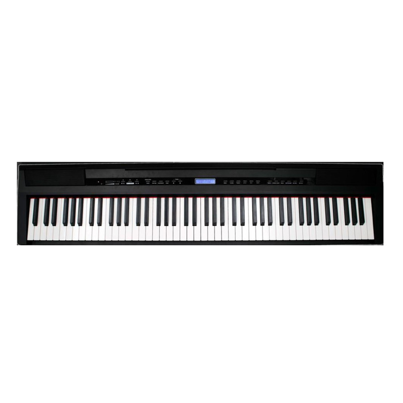 ECHORD SP10 BK