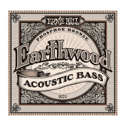 Ernie Ball 2070 Earthwood