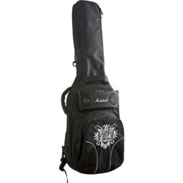 Ernie ball gigbag