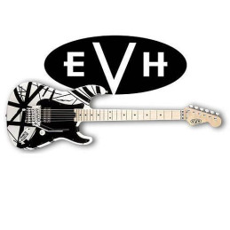 EVH stripes Black/White
