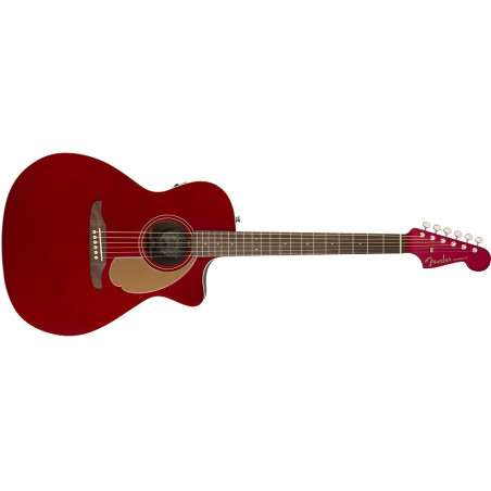 Fender NEWPORTER PLAYER